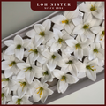 LohSister AAA Lily Soapbud Soap Flower 百合花香皂花
