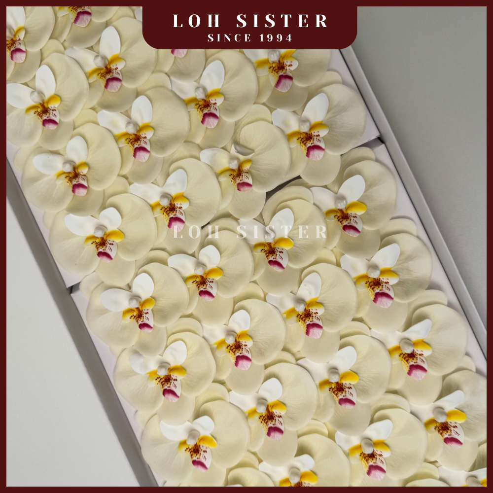 LohSister AAA Phalaenopsis Orchids Soapbud Soap Flower 蝴蝶兰香皂花