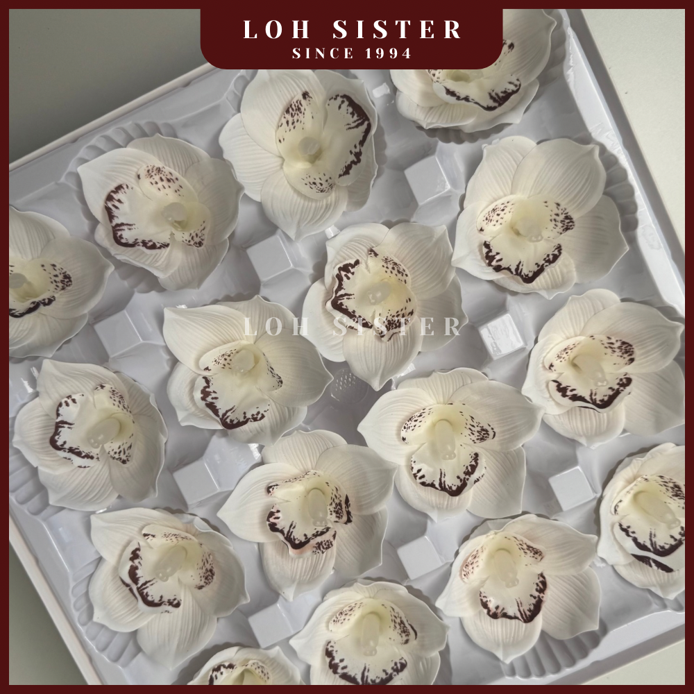 LohSister AAA Cymbidium Soapbud Soap Flower 兰花香皂花