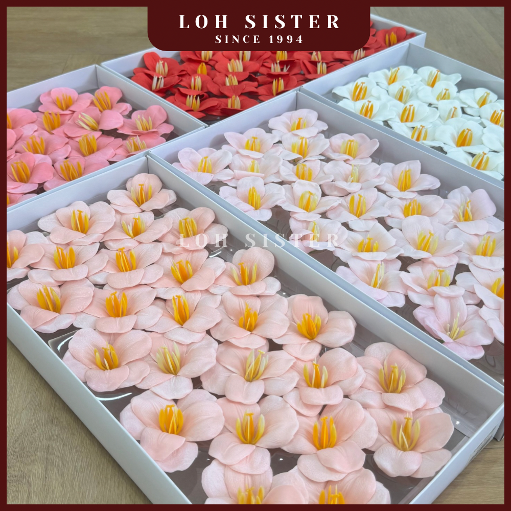 LohSister AAA Blooming Tulip Soapbud 郁金香香皂花