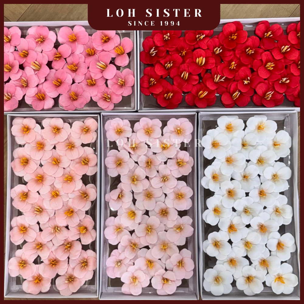 LohSister AAA Blooming Tulip Soapbud 郁金香香皂花