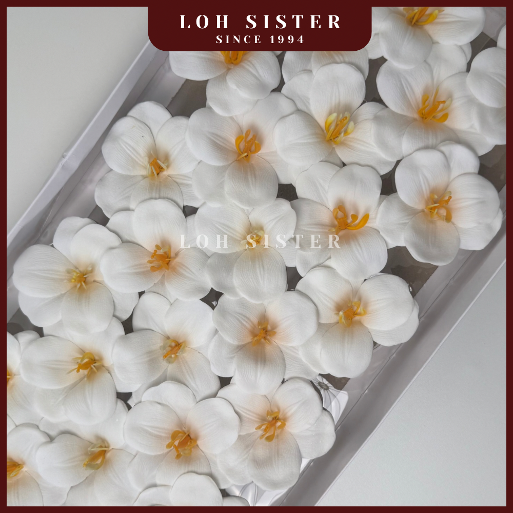 LohSister AAA Blooming Tulip Soapbud 郁金香香皂花