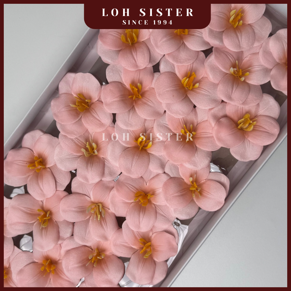 LohSister AAA Blooming Tulip Soapbud 郁金香香皂花
