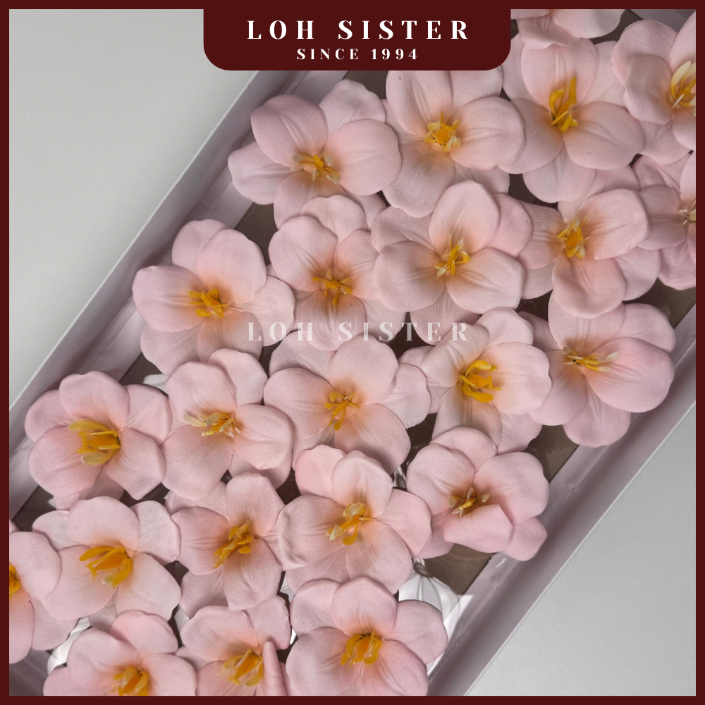 LohSister AAA Blooming Tulip Soapbud 郁金香香皂花