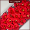 LohSister AAA Blooming Tulip Soapbud 郁金香香皂花