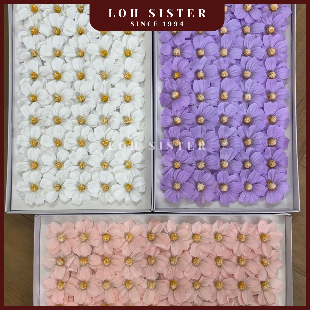 LohSister AAA Cosmos Soapbud Soap Flower 波斯菊香皂花