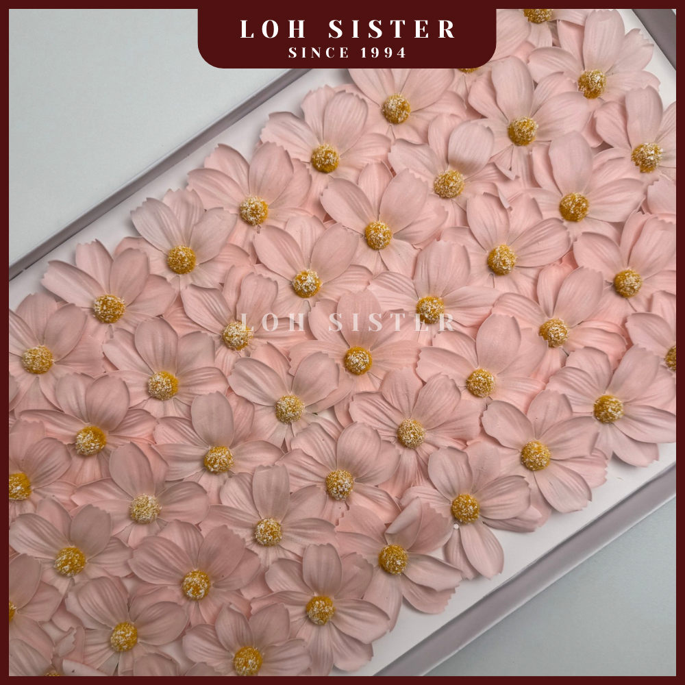 LohSister AAA Cosmos Soapbud Soap Flower 波斯菊香皂花