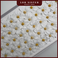 LohSister AAA Cosmos Soapbud Soap Flower 波斯菊香皂花