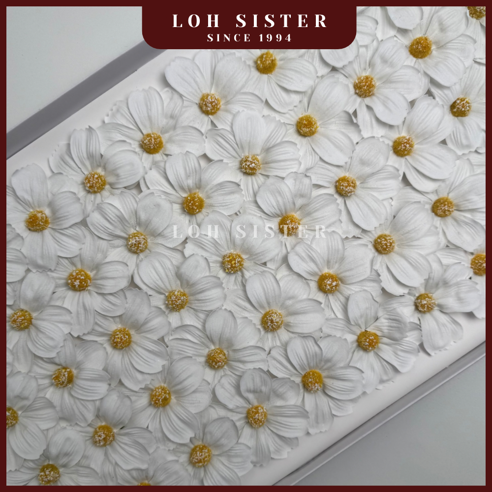 LohSister AAA Cosmos Soapbud Soap Flower 波斯菊香皂花