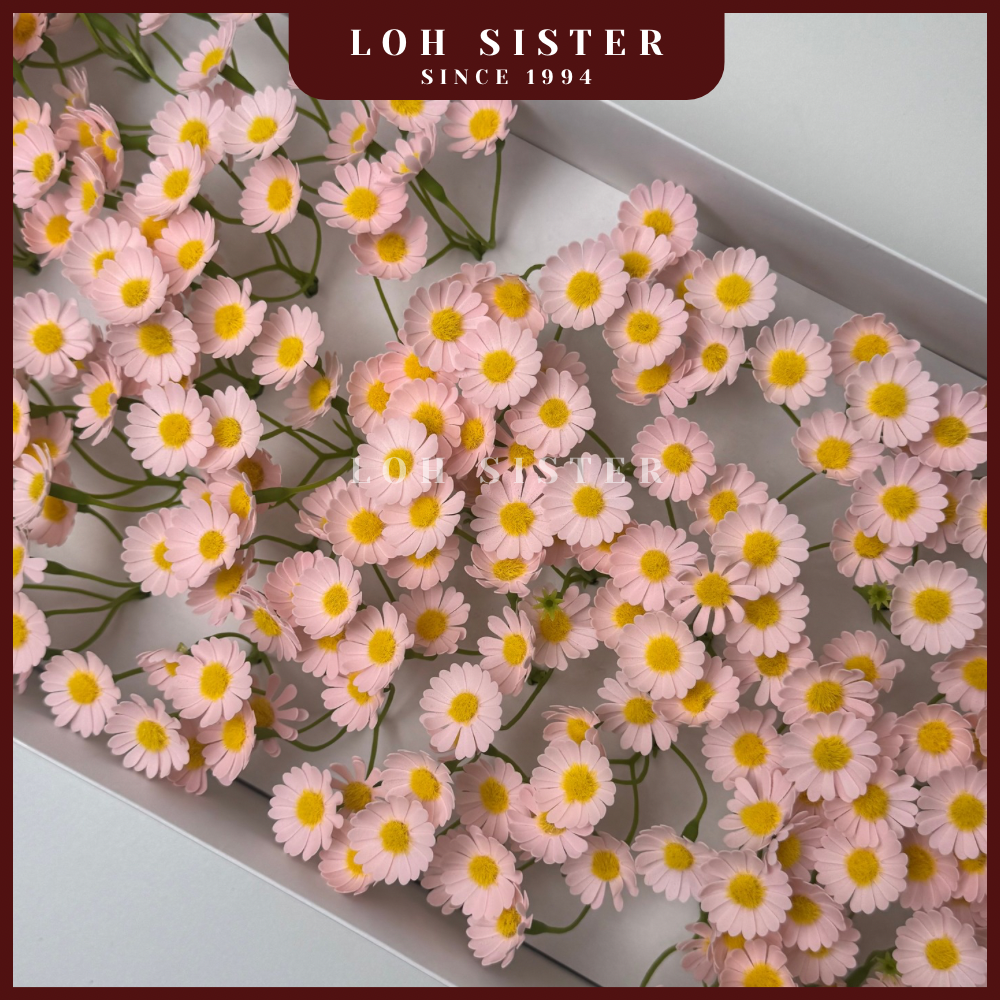 LohSister AAA Chamomile Soapbud 洋甘菊香皂花