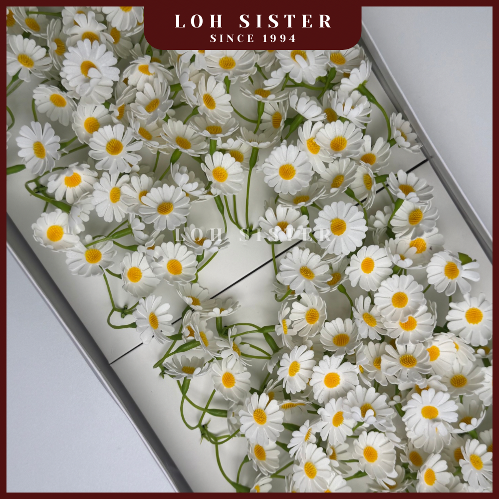 LohSister AAA Chamomile Soapbud 洋甘菊香皂花