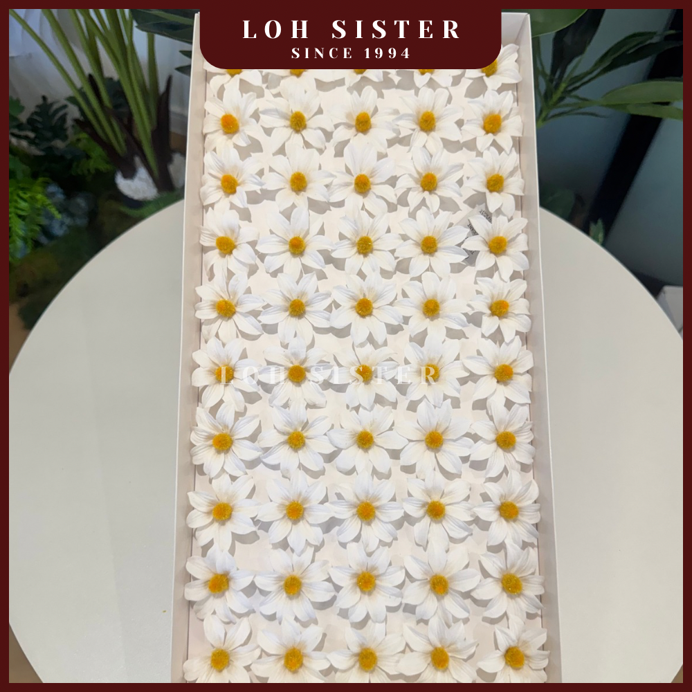 Lohsister  March Daisy Soap Flower