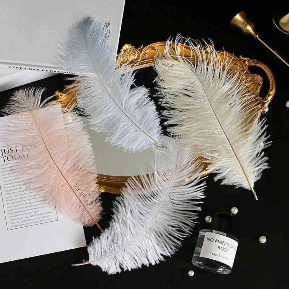 LohSister  5pcs Feather Series羽毛系列