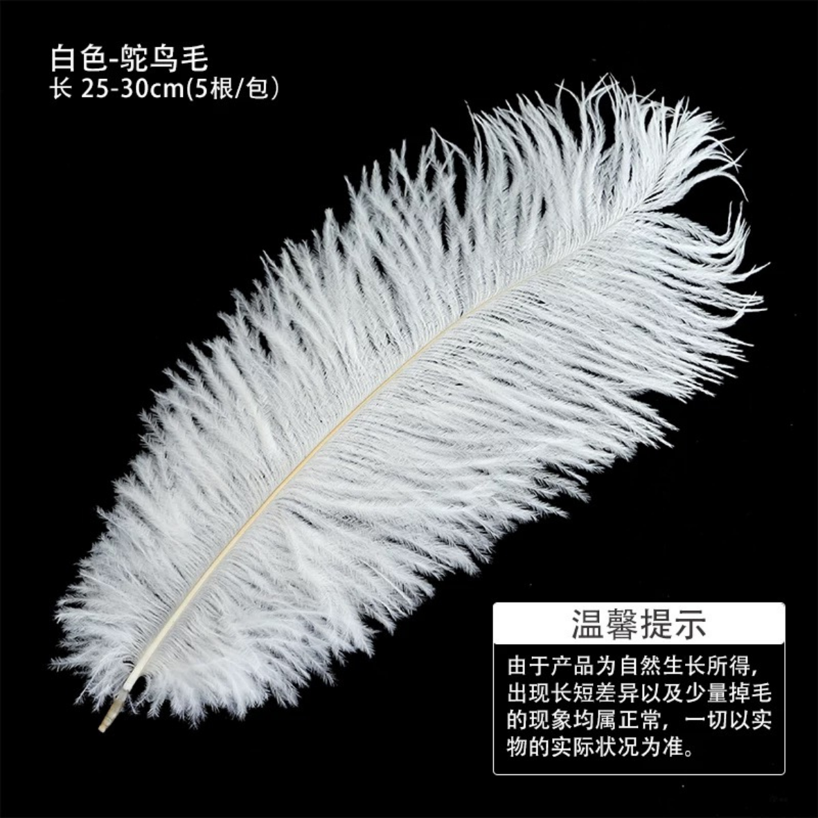 LohSister  5pcs Feather Series羽毛系列