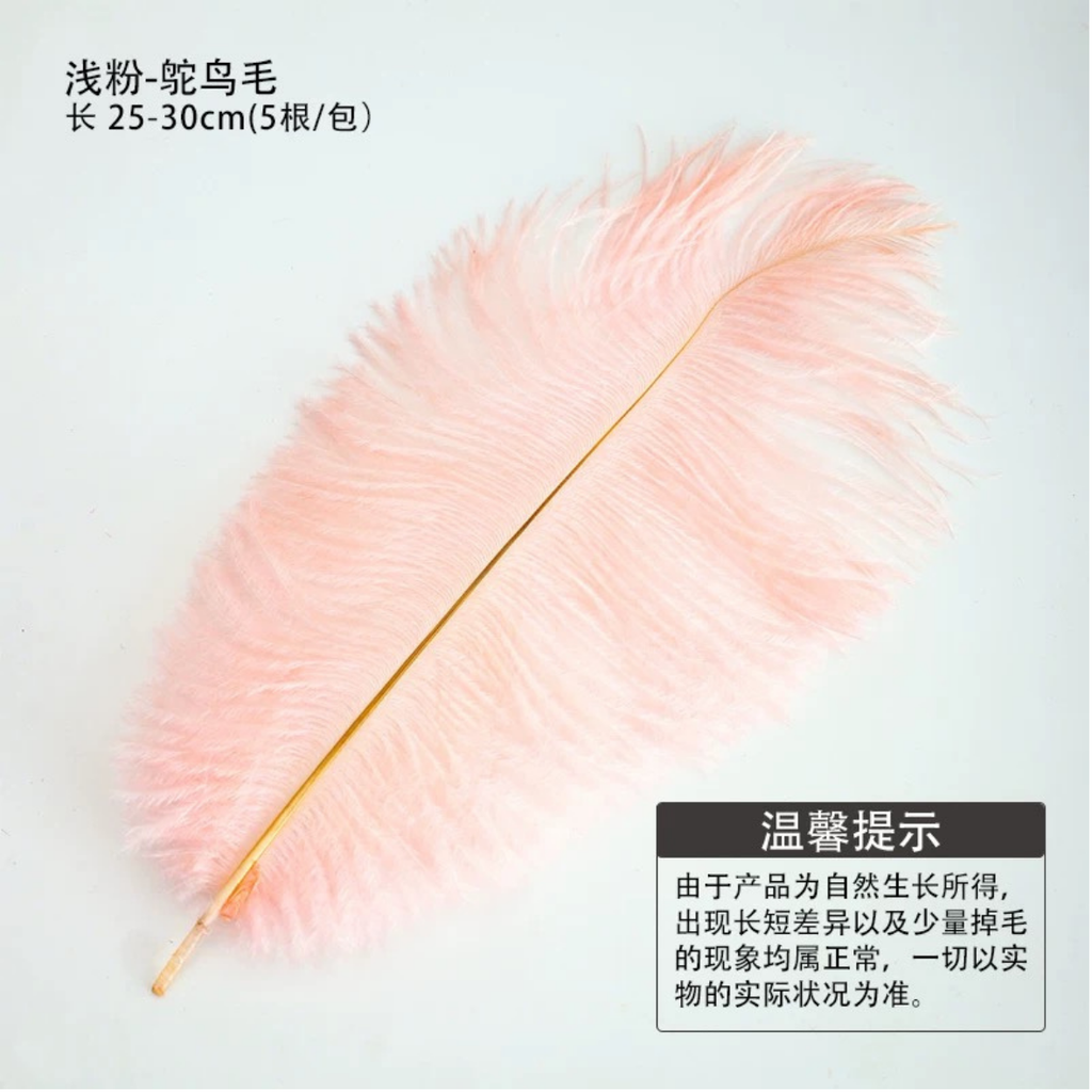 LohSister  5pcs Feather Series羽毛系列
