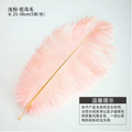 LohSister  5pcs Feather Series羽毛系列
