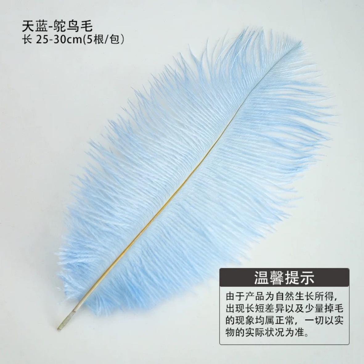 LohSister  5pcs Feather Series羽毛系列