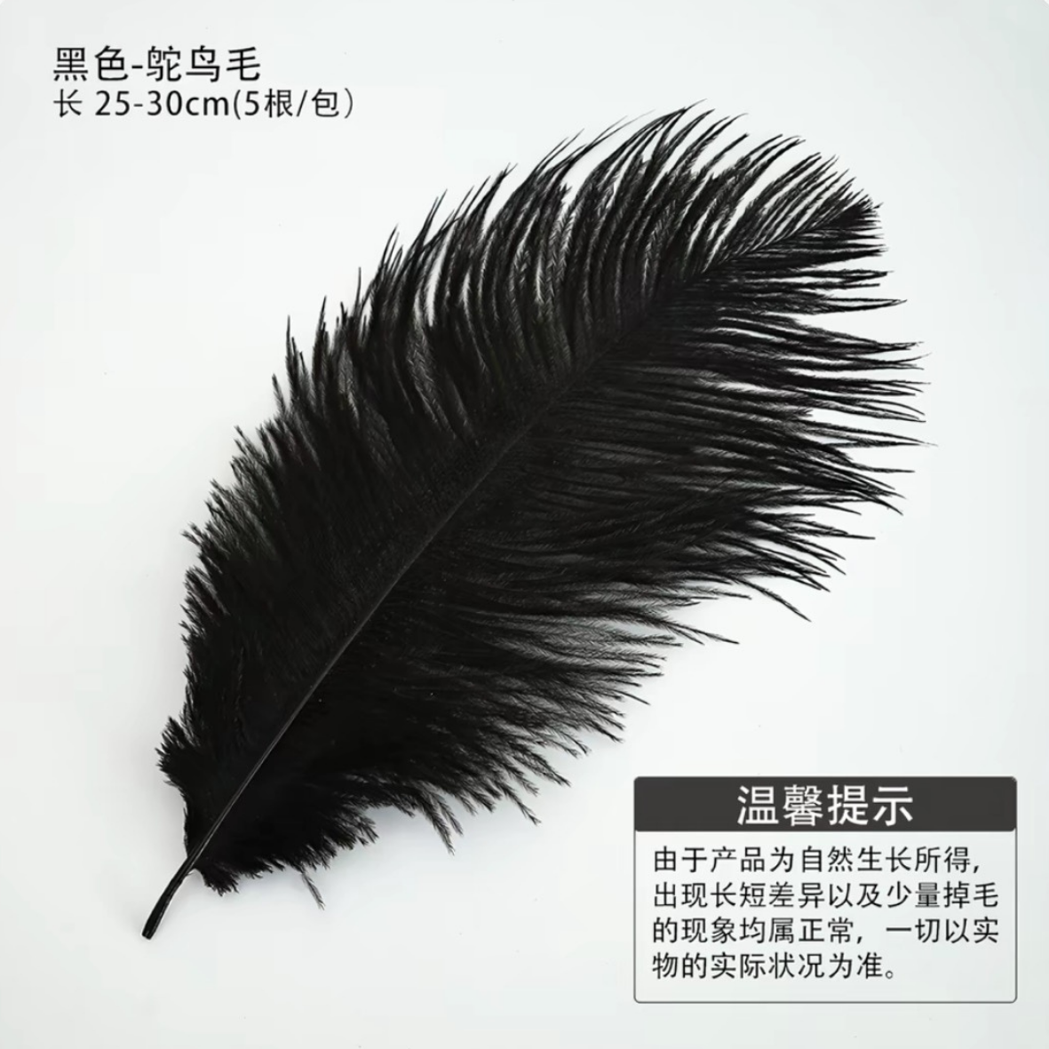 LohSister  5pcs Feather Series羽毛系列