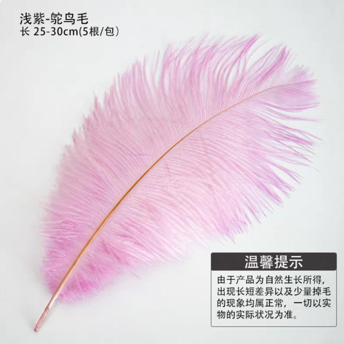 LohSister  5pcs Feather Series羽毛系列