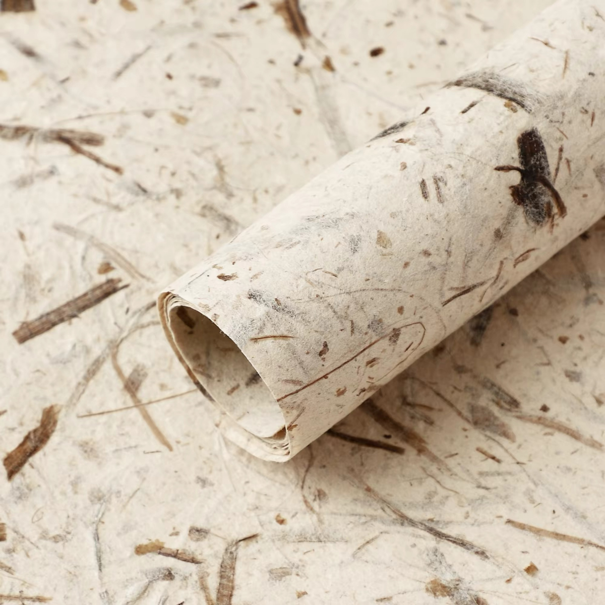 LohSister  5pcs Leaf Vein Wrapping Paper 手撕叶脉纸