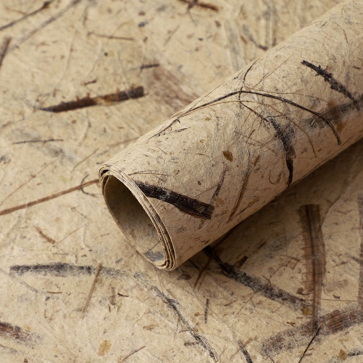 LohSister  5pcs Leaf Vein Wrapping Paper 手撕叶脉纸